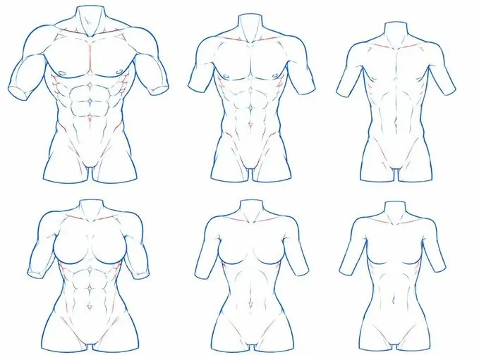 Male torso mass — drawing reference by SodaGuy