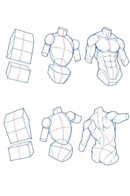 Boxes before curves — drawing reference by SodaGuy
