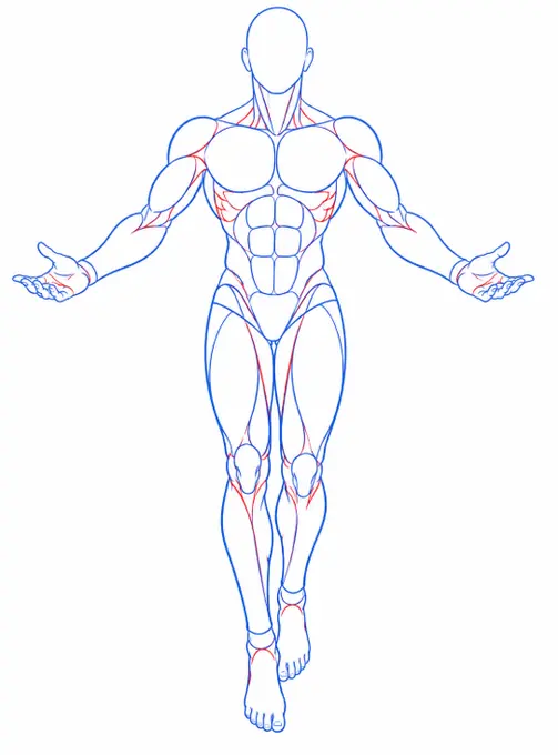 Anatomy follows the gesture — drawing reference by SodaGuy