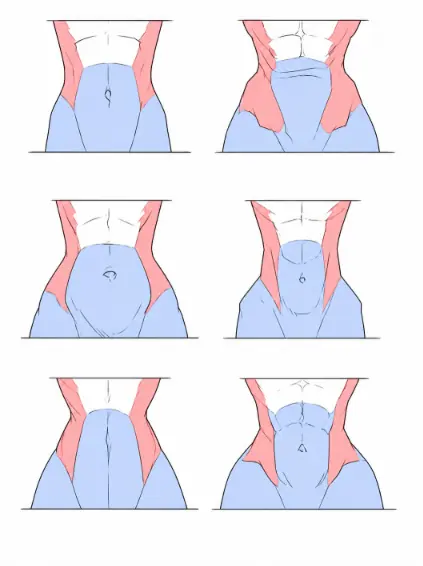 Waist and lower-torso variation — drawing reference by SodaGuy